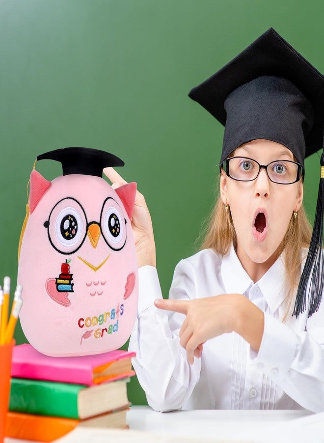 refavor Pink Owl Kindergarten Graduation Stuffed Animal 2025, Preschool Class of 2025 Graduation Plush Pillow with Black Cap, Commemorative Congrats Grad Party Owl Plushies Favors(8 Inch) - Image 3